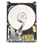 Жесткий диск WD 2.5 IDE 250Gb 5400 rpm WD2500BEVE